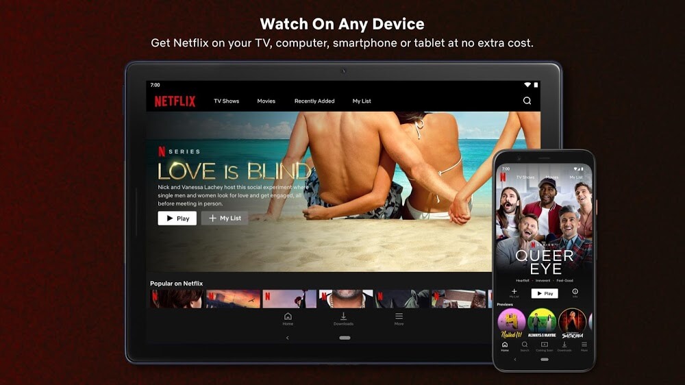 Netflix (MOD ، Premium / 4K / كل المناطق)