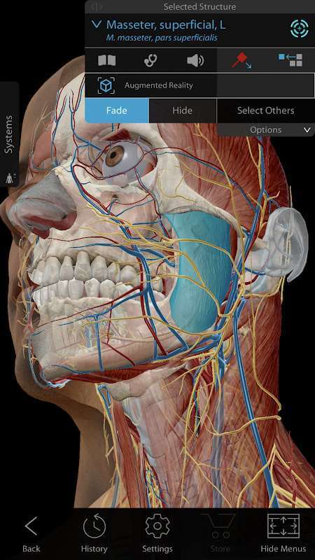 Complete Anatomy For Windows Free